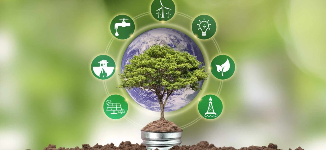 www_cache2net4_com-vecteezy_small-tree-growing-on-the-energy-saving-lamp-and_6671886_181-5-scaled-1-qbamtg8gd9my4ai1u25zacyrjbh0ckovka4tifd7jc